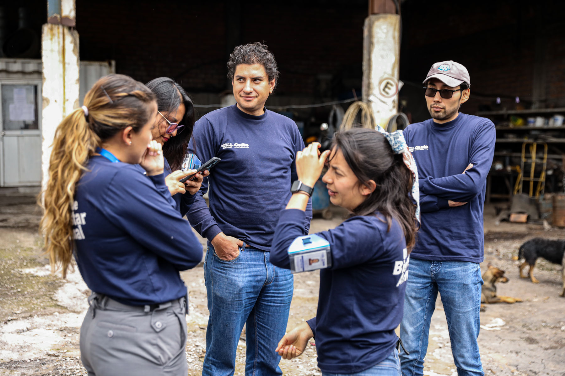 Inspección y Control