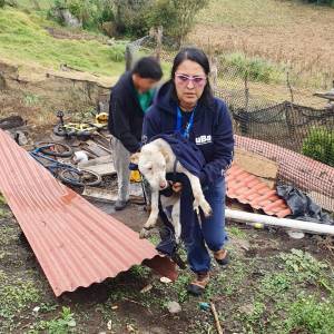 UBA rescató a un perro encadenado con soga y alambre en Atahualpa